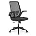 thumbnail image 3 of Magshion Office Mesh Chair Adjustable Height and Ergonomic Design Home Office Computer Desk Chair Lumbar Support with Padded Flip-up Armrest Swivel Chair (Black), 3 of 4
