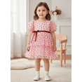 thumbnail image 5 of BemeyourBBs Toddler Baby Girls Heart Tulle Tutu Dress Bubble Sleeve Valentines Day Dress Outfit Spring Summer Clothes, 5 of 9
