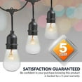 thumbnail image 2 of Newhouse Lighting 48ft String Lights 15 Sockets Warm White Light Bulbs, 2 of 6