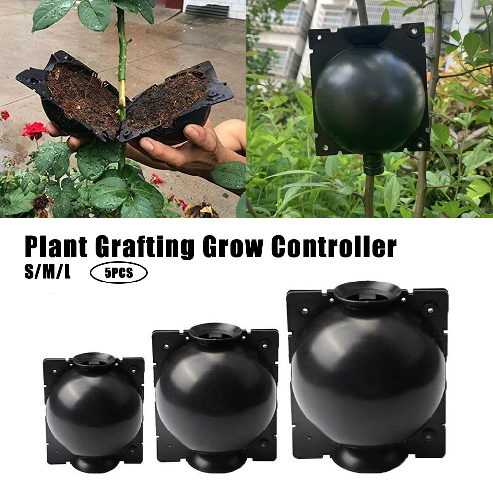 Plant Rooting Device Reusable Plant Root Growing Box Propagators for Plants High Pressure Propagation Ball Box for Garden Grafting Rooting Growing Breeding White L 5pcs