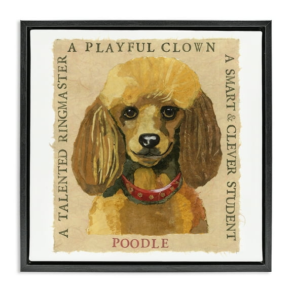 Stupell Industries Fun Poodle Pet Phrases Animals Painting Black Floater Framed Canvas Art Print Wall Art, 18 x 18