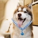 thumbnail image 2 of GOOHOCHY Collar para gato con cascabel, ajustable, de seguridad, para mascotas, decoración, 2 of 8