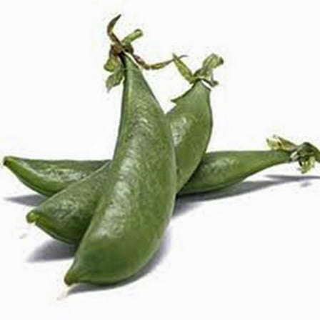 Pea Seed, Sugar Daddy, Heirloom, Non GMO, 100 Seeds, Perfect Peas