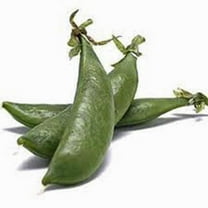 Pea Seed, Sugar Daddy, Heirloom, Non GMO, 100 Seeds, Perfect Peas