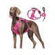 thumbnail image 2 of Pechera Arnés De Seguridad Para Perro Talla S Belug Fucsia, 2 of 4