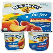 Stonyfield Farm Stonyfield Farm Nonfat Yogurt, 6 ea