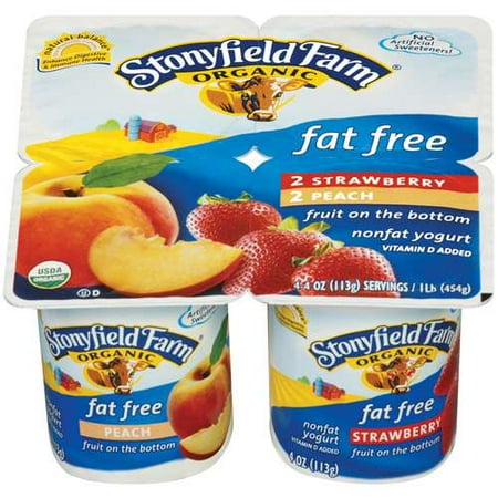 Stonyfield Farm Stonyfield Farm Nonfat Yogurt, 6 ea