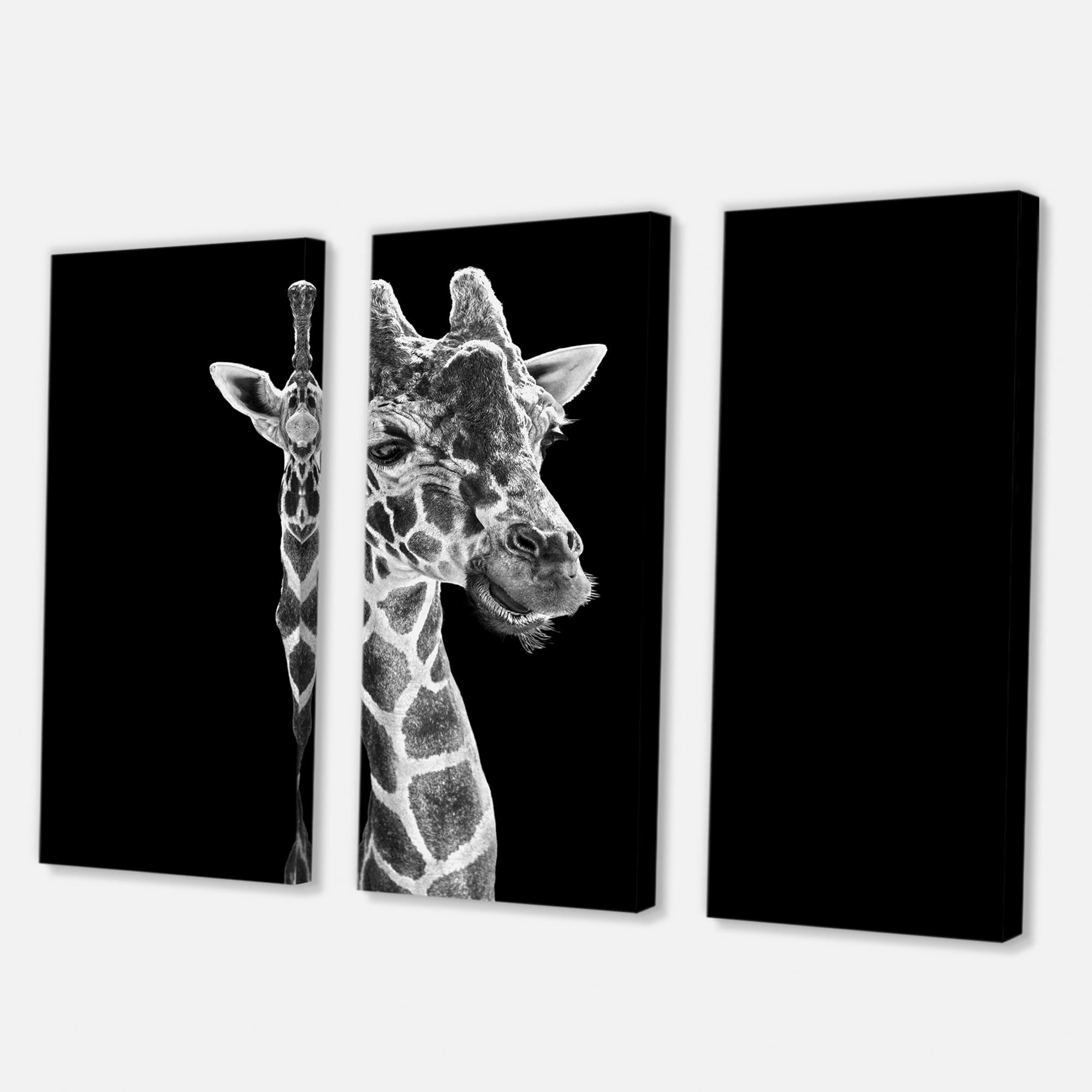 Close Up Portrait Of A Giraffe On Black II 28 in x 36 in Photography Canvas Art Print, by Designart