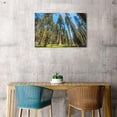 thumbnail image 4 of Giant Sequoia Trees Canvas Wall Art, Redwood Forest Print, Tall California Trees Artwork for Living Room Bedroom Office Decor, Ready to Hang, 4 of 6