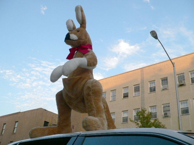 big kangaroo stuffed animal