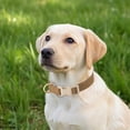 thumbnail image 5 of Minzimin 1Pack Soft Cotton Dog Collar Adjustable Corduroy Dog Collars for Small Medium Large Female Dogs(Pink,Small), 5 of 9