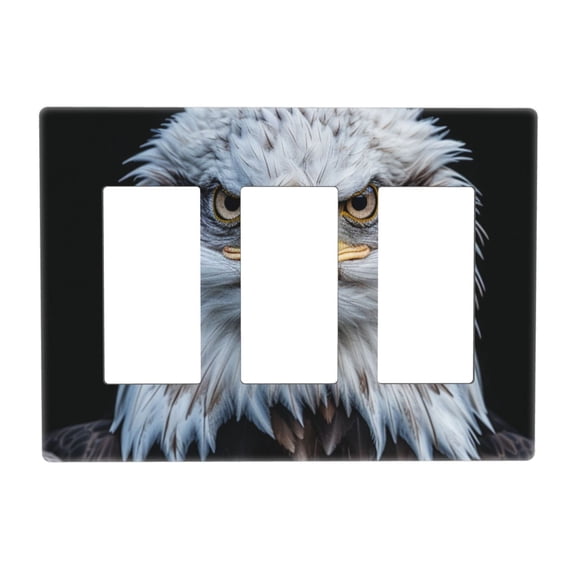 Hawk Look Switch Cover Decorative Wall Plate 3-Gang Screwless Standard Size