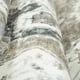 thumbnail image 5 of Alfombra YOUFORTONG, lavable, de poliéster, 90 x 180 cm, color beige, 5 of 7