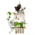 thumbnail image 3 of Tubo de ensayo de planta hidropónica de vidrio montado en la pared Tubo de ensayo hidropónico Decoración de pared Colgante de madera maciza Jarrón de pared montado en la pared, 3 of 4
