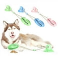 thumbnail image 3 of Chiot chiot Chien Chien Chien Chien Chien Chien Chien Chien Chien Chien Chien Chien Chien Chien Chien Chien Chien Chien Chien Chien Chien Chien Chien Chien Chien Chien Chien, 3 of 6