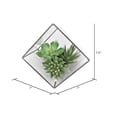 thumbnail image 2 of Vickerman 7.5" Artificial Green Succulents in Geometric Terrarium., 2 of 2