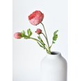 thumbnail image 5 of 23" Faux Coral Real Touch Ranunculus Stem, 5 of 5