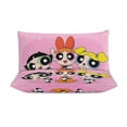 thumbnail image 3 of The Powerpuff Girls 3 Pieces Bedding Set 3D Printed Lightweight Bed Quilt Set Comforter Cover Set for Girls Kids Teens, 1 Quilt Cover 2 Pillowcases 102"x90", 3 of 8