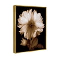 thumbnail image 3 of Stupell Modern Sepia Mum Flower Botanical & Floral Photography Gold Floater Framed Art Print Wall Art, 3 of 6