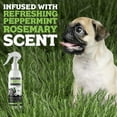 thumbnail image 4 of Nuesta Pets Skunk Odor Remover Spray for Dogs & Cats, Deodorizing Pet Spray, Peppermint Rosemary Scent, 10 oz, 4 of 5