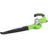 Greenworks Model Number 24122a, 24volt,