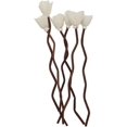 thumbnail image 1 of 30Pcs Premium Brown Wavy Rattan Reeds add Through Grass Flowers Fragrance Diffuser Stick Replacement Refill Sticks, 1 of 6
