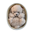 thumbnail image 2 of 2026 Weighted Stuffed Animals Plush Toy 9In with Woven Basket Bed Cute Stuffed Animal for Birthday Gift Decorative Soft Doll, 2 of 3