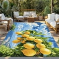 thumbnail image 3 of Fsddascl Yellow Lemon Outdoor Rug for Patio/Deck/Porch, Non-Slip Large Area Rug 4 x 6 Ft, Summer Blue Sky Coastal Scenery Indoor Outdoor Rugs Washable Area Rugs, Reversible Camping Rug Carpet Runner, 3 of 5
