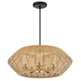 thumbnail image 7 of 10385BKCML-LV Hinkley Lighting Luca - 3.5W 5 LED Outdoor Medium Chandelier-10.75 Inch Tall and 28 Inch Wide-Natural Finish, 7 of 7