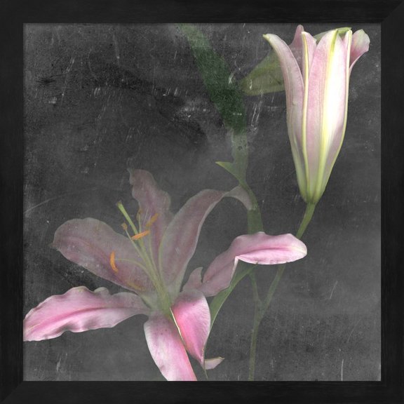 Fleur de Lys II by Alicia Ludwig, Framed Wall Art, 13.25W x 13.25H