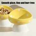 thumbnail image 4 of Ceramic Elevated Cat Bowls, Tilted Raised Pet Dish Anti Vomit Kitten Bowl for Indoor Cats, Whisker Friendly Pet Food and Water Bowl for Kitten, Cat, Puppies, Dishwasher Safe (Yellow), 4 of 6