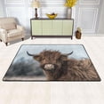 thumbnail image 2 of SKYSONIC Highland Cow Cattle Meadow Non-Slip Area Rug, Animal Cute Floor Carpet Comfort Floor Mats Decor for Indoor Front Porch Living Room Bedroom Kitchen, 36"x24", 2 of 5