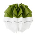 thumbnail image 1 of Pantalla Lámpara Papel Piña Con Cuerda Ajustable para Acampar Senderismo () Verde, 1 of 5