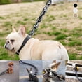 thumbnail image 1 of Jacenvly - Nuevas decoraciones de Halloween para interiores, correa de cadena para perro grande, divertida correa de perro, juguete de plástico que imita cadenas de hierro para perros pequeños,, 1 of 4