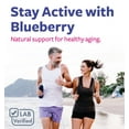 thumbnail image 3 of Pure Co Certified Organic Blueberry Extract Capsules - High Potency 10:1 Blueberry Supplement with 5000mg Herbal Equivalent for Wellness Brain & Immune Support - 60 Capsules, 3 of 8