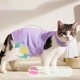 thumbnail image 2 of Traje quirúrgico para gatos machos y hembras, para perros que se lamen el abdomen o la piel, pijama quirúrgico para mascotas, tejido suave para gatos, 2 of 6