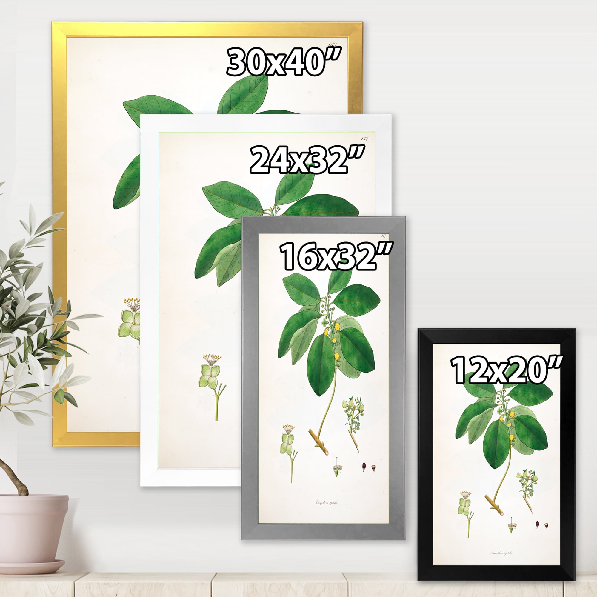Designart 'Ancient Botanicals V' Farmhouse Framed Art Print