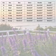 thumbnail image 3 of Men Women Couples Hooded Shirts I Love You This Much Valentine'S Day Sweatshirt Letter Print Crew Neck Pullover, 3 of 8