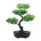 thumbnail image 1 of Bonsái Artificial, Plantas Artificiales, Vegetación, Bonsái para Oficina Y Hogar., 1 of 9