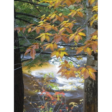 Stream and Fall Foliage, New Hampshire, USA Print Wall Art By Nancy
