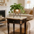 thumbnail image 4 of MMJ Metal Planter with Stand Decorative Floor Flower Pot Iron Drainage Holes 7.68x5.71in for Living Room, 4 of 6