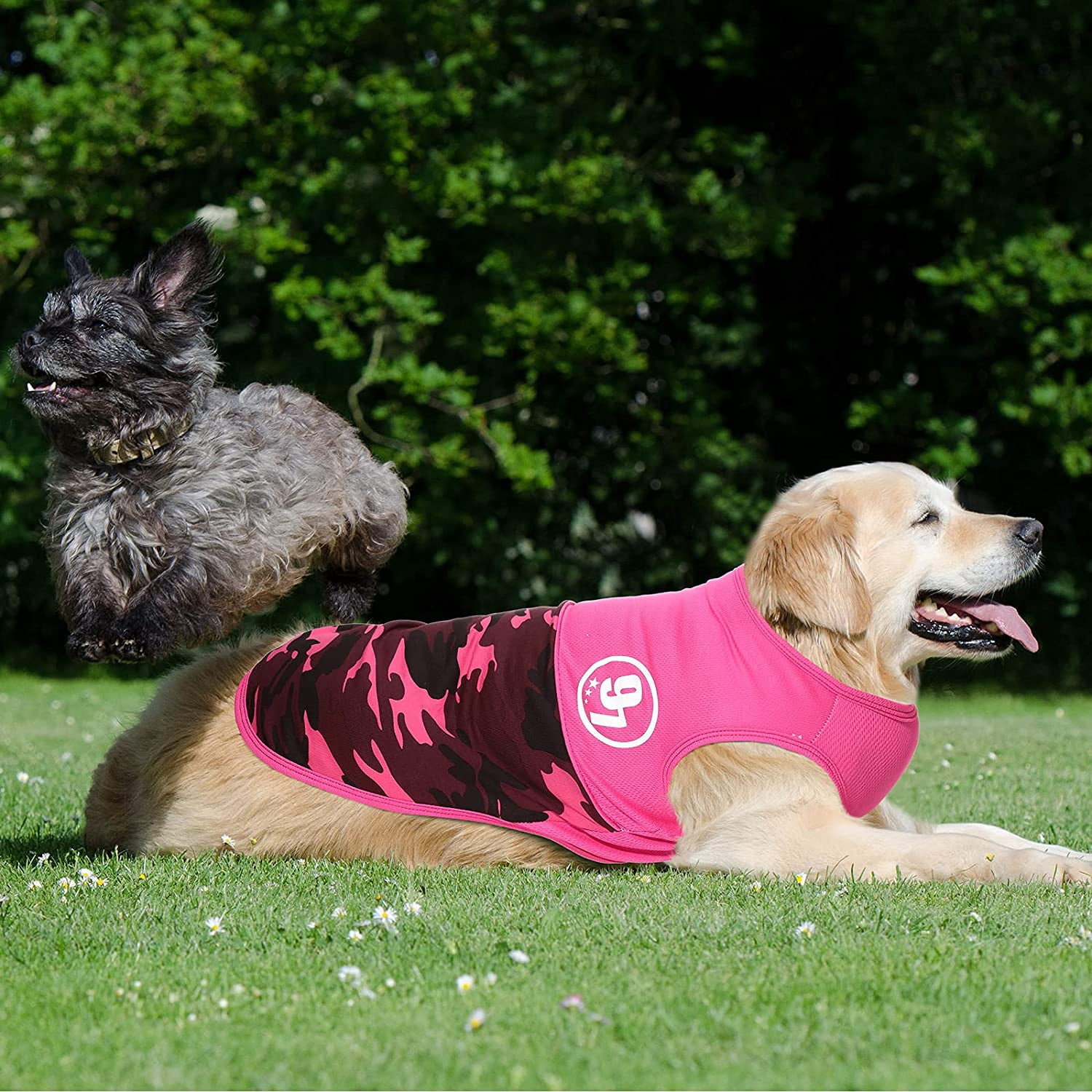 2 Pieces Dog Shirts Large Extra Large 