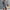 Gray, variant on Simua Fashion Women's Waffle Knit Tops Long Sleeve Button Up V Neck Casual Loose Shirts