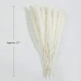 thumbnail image 2 of Dried Pampas Grass -Natural,30 pcs Reed Grass Plumes, Dried Flower Bouquet for DIY Home Kitchen Wedding Party Decor, 2 of 8