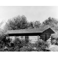 thumbnail image 1 of Plants In Front Of, 1 of 1