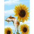 thumbnail image 1 of 5D bricolaje completo taladro diamante pintura girasol bordado mosaico Kit dormitorio decoración Tmvgtek Arte deco, 1 of 9
