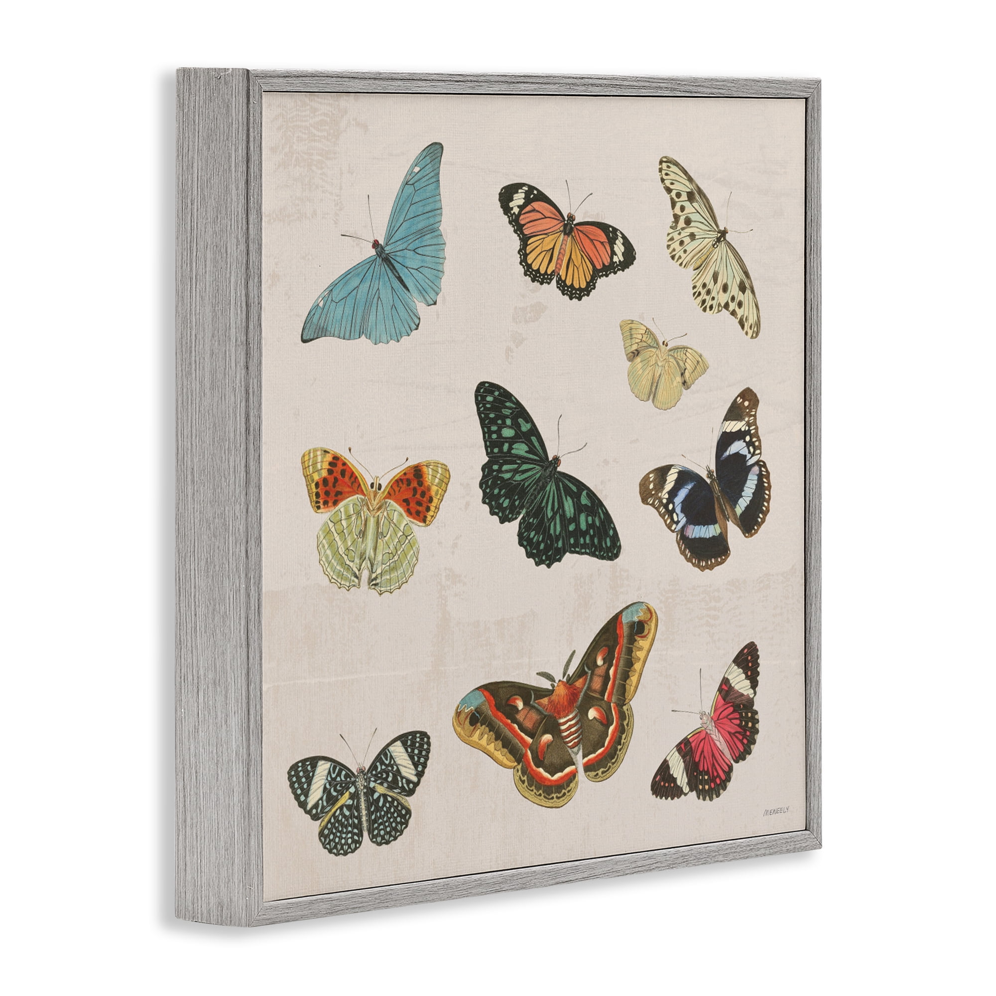 Stupell Industries Vintage Butterfly Flight Gray Framed Giclee Art, design by Dan Meneely