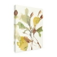 thumbnail image 2 of Jennifer Goldberger 'Ebbing Leaves II' Canvas Art, 2 of 3