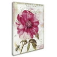 thumbnail image 2 of Trademark Fine Art "Pink Peony" Canvas Art by Color Bakery, 2 of 3