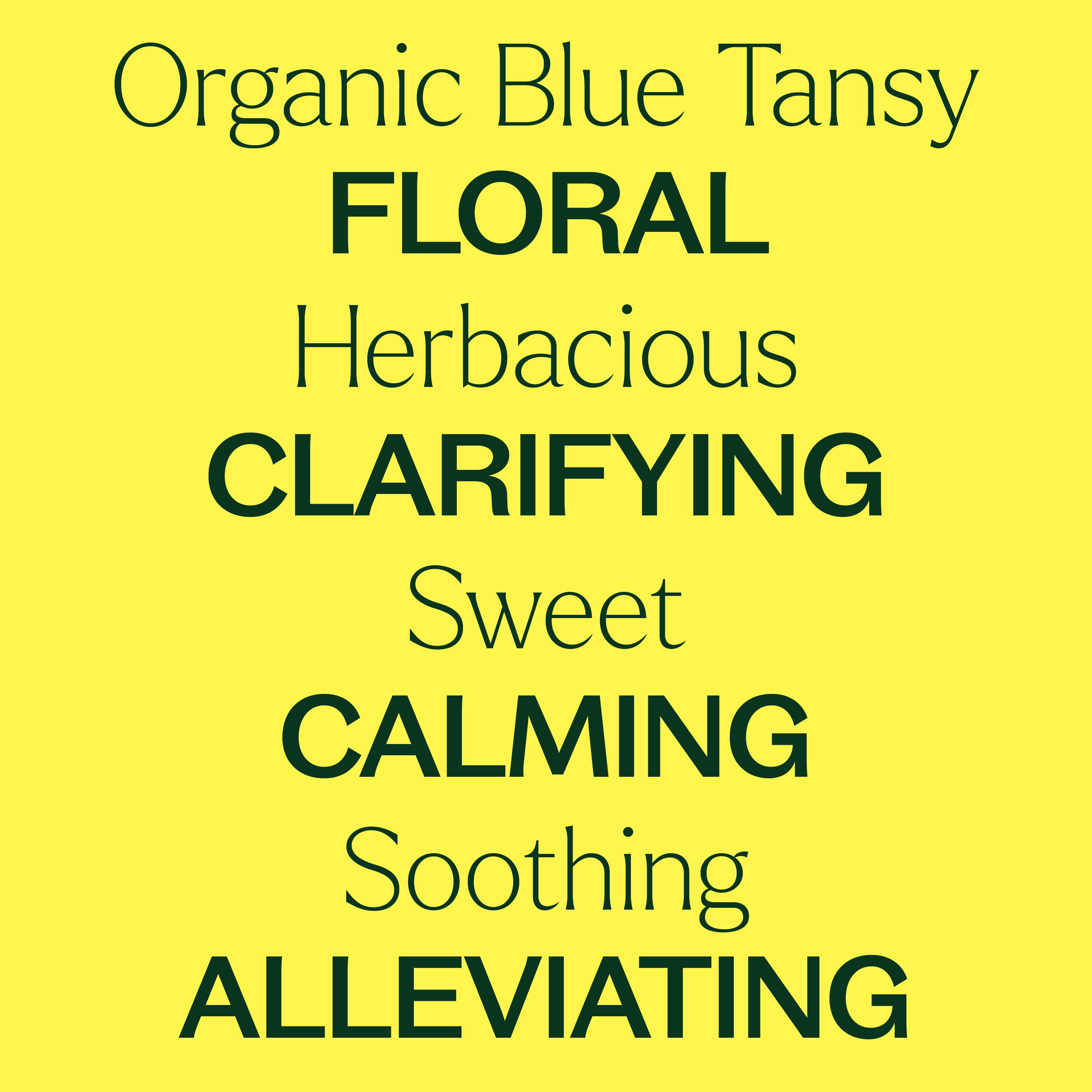 Plant Therapy Organic Blue Tansy Essential Oil 100% Pure, Undiluted, Natural Aromatherapy 2.5 mL (1/12 oz)